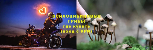 альфа пвп Нязепетровск