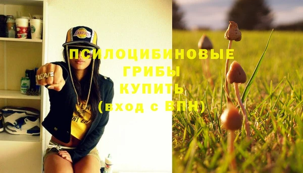 молекула духа Нягань