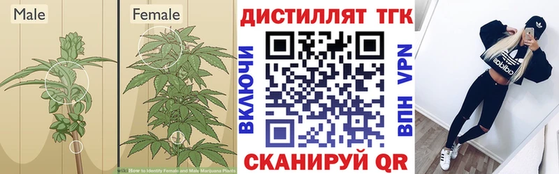 Дистиллят ТГК вейп с тгк  продажа наркотиков  Полярный 
